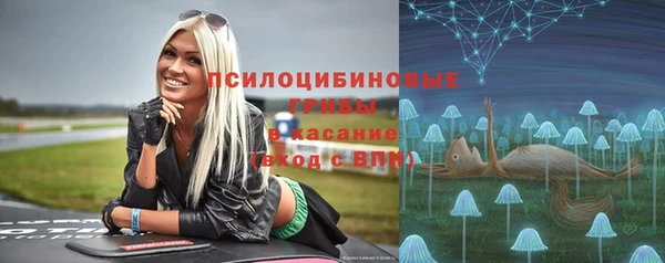 шишки Аксай