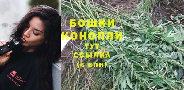 шишки Аксай