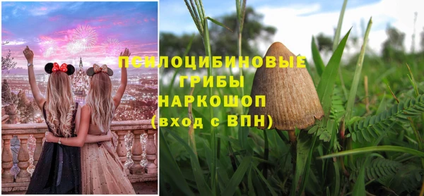 шишки Аксай