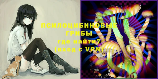 шишки Аксай
