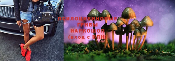 молекула духа Апатиты